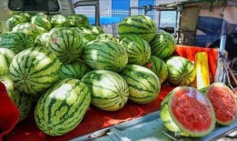 潍坊网红吃瓜事件真相,揭秘背后真相与反思