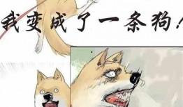 吃瓜大侠小说免费阅读,穿越时空的美食冒险之旅