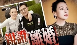 刘大锤爆料榜单最新视频,揭秘榜单幕后真相