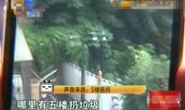 深圳小区胡小姐爆料视频,揭秘社区生活背后故事